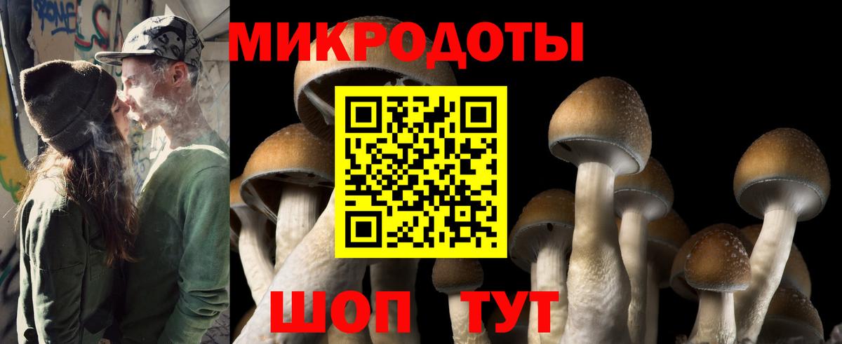 Псилоцибиновые грибы Magic Shrooms  Вход с VPN  Кировск 